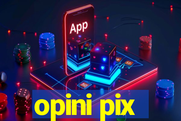 opini pix